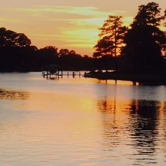 Meet your Posher, Tipper - Picture 3 of 4